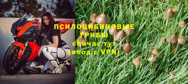 каннабис Алексеевка