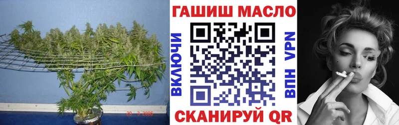 Дистиллят ТГК гашишное масло  площадка наркотические препараты  Щёлкино 